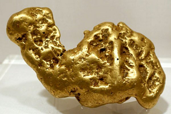 Золотой самородок "Верблюд" - 9,3 кг.