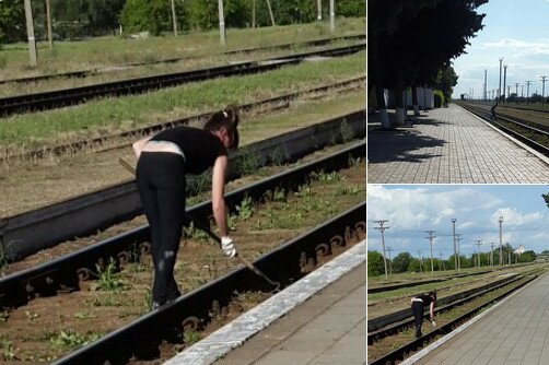 Крымская железная дорога зКрымская железная дорога заростает травойаростает травой
