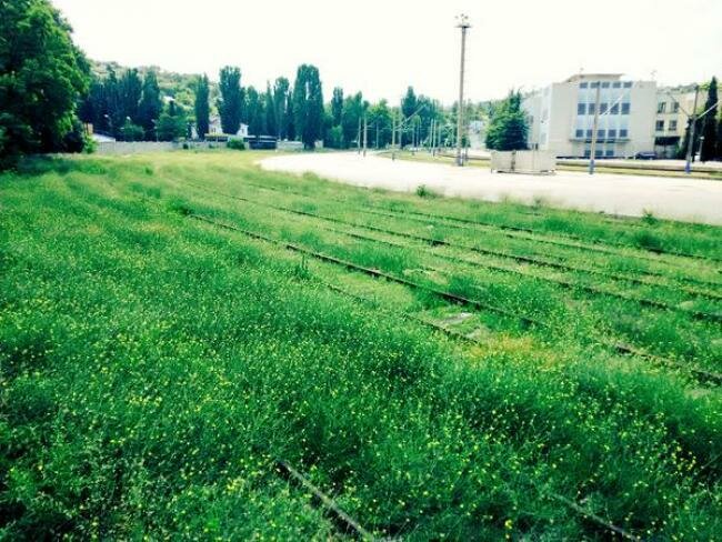 Крымская железная дорога зарастает травой