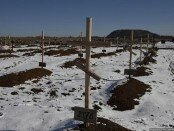 Кладбище погибших ополченцев и россиян в Донецке