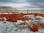 Aral_sea_image_01